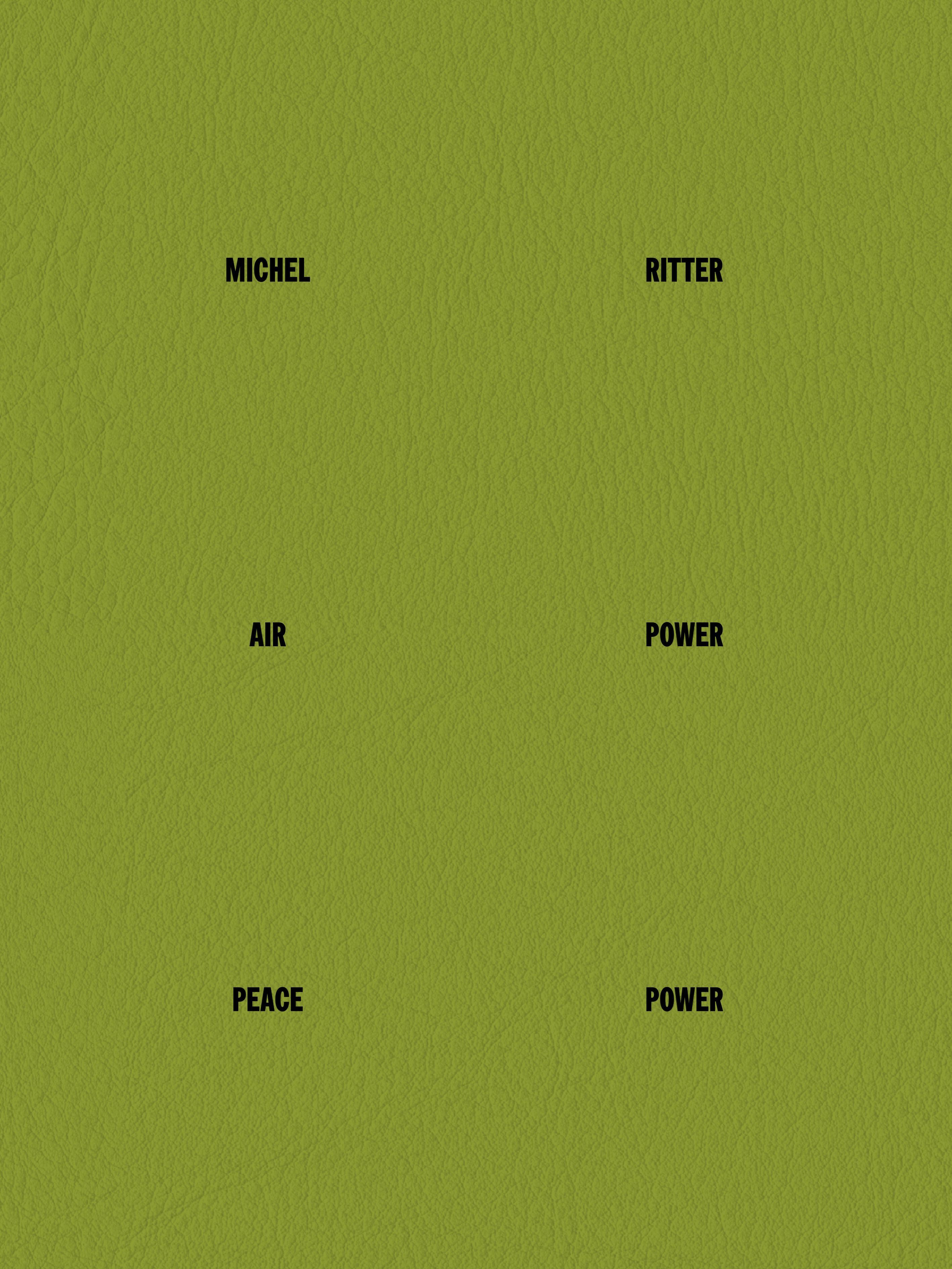 Michel Ritter. Air Power / Peace Power