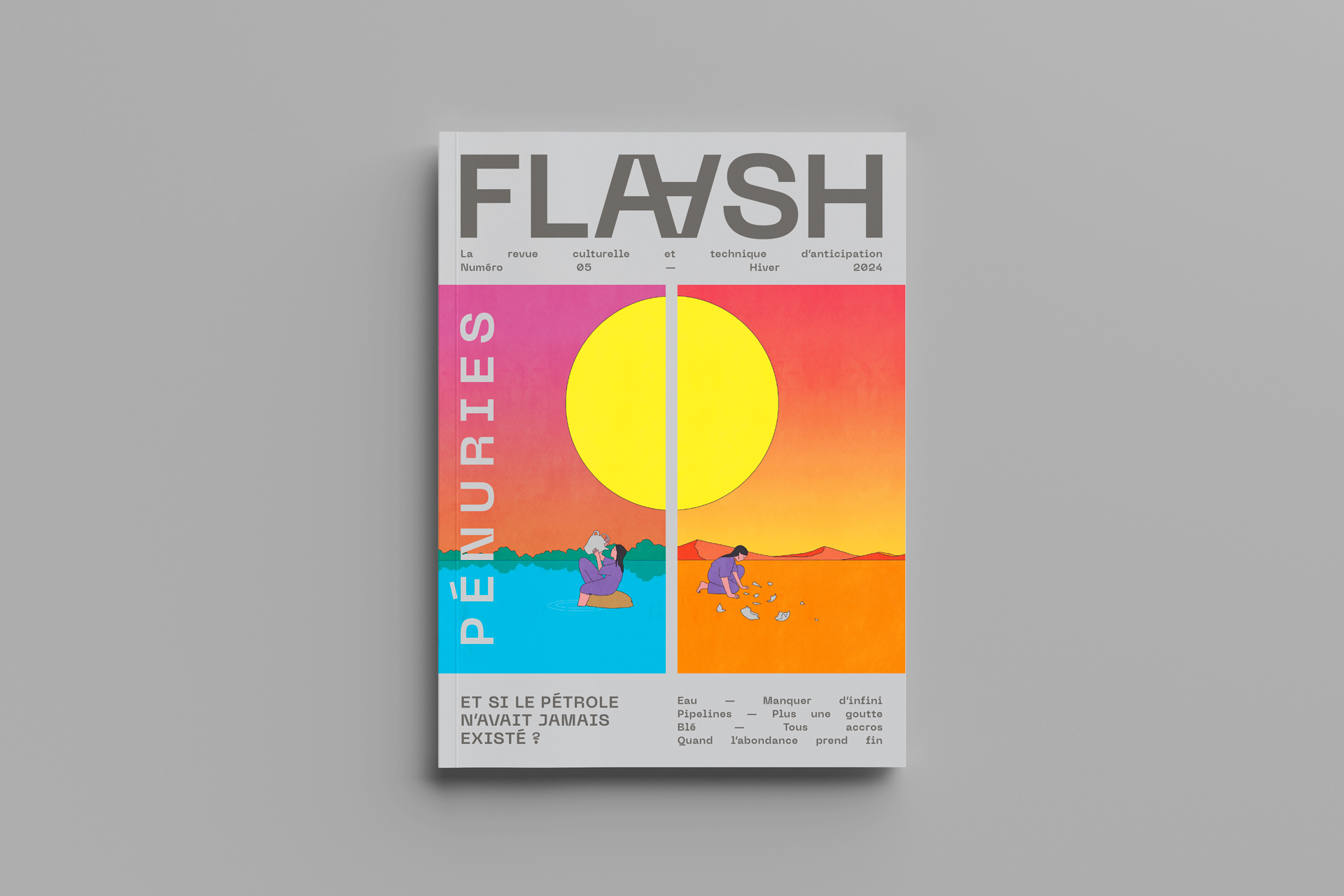 FLAASH N°05 - Pénuries - Hiver 2024