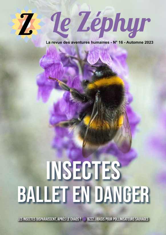Le Zéphyr n°16 - Insectes : ballet en danger