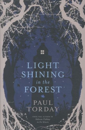 Light Shining in the Forest