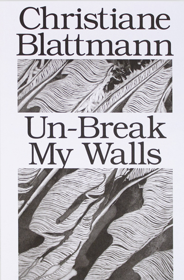 Christiane Blattmann : Un-Break My Walls