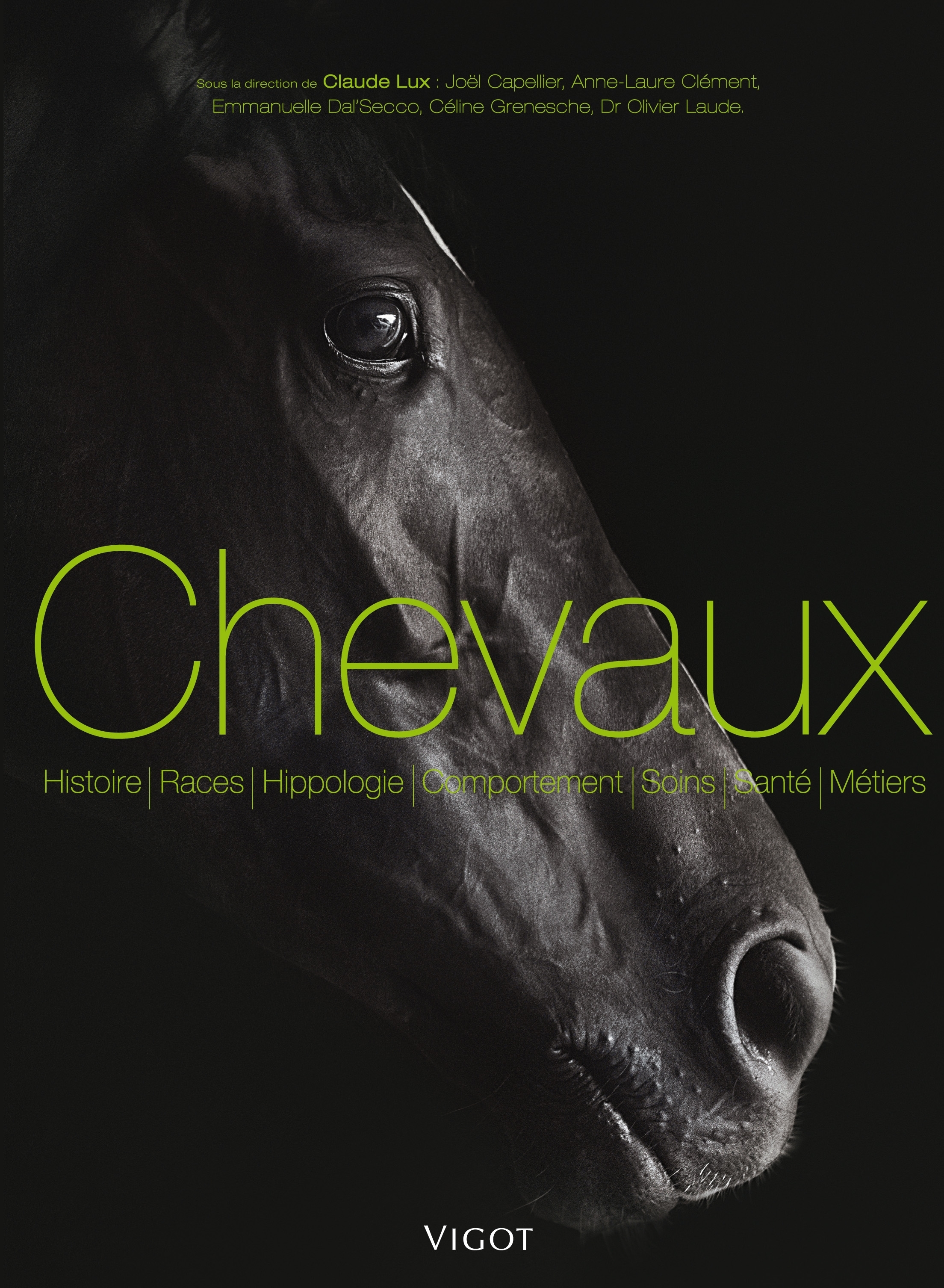 Chevaux et équitation