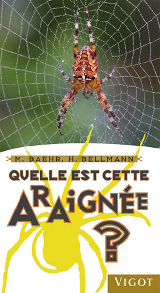 Quelle est cette araignée ?