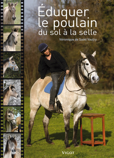 Éduquer le poulain du sol à la selle