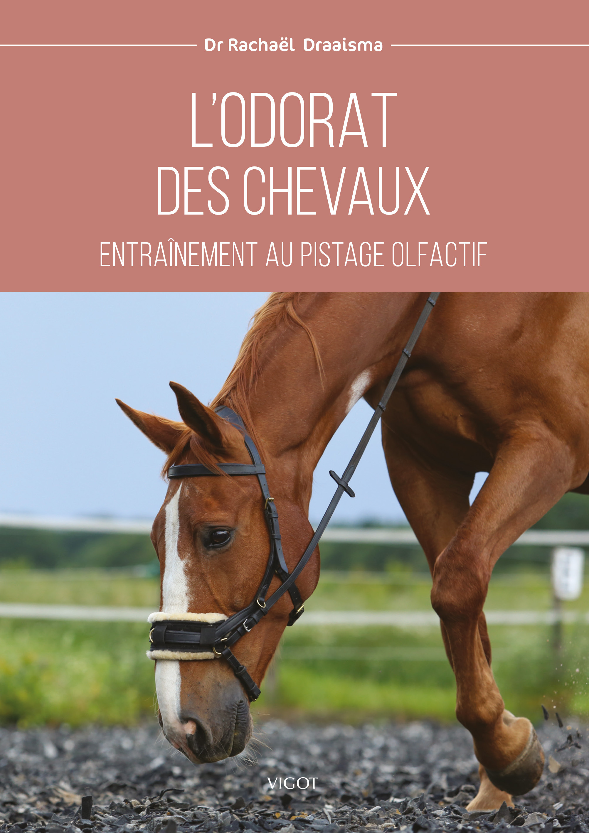 L'odorat des chevaux