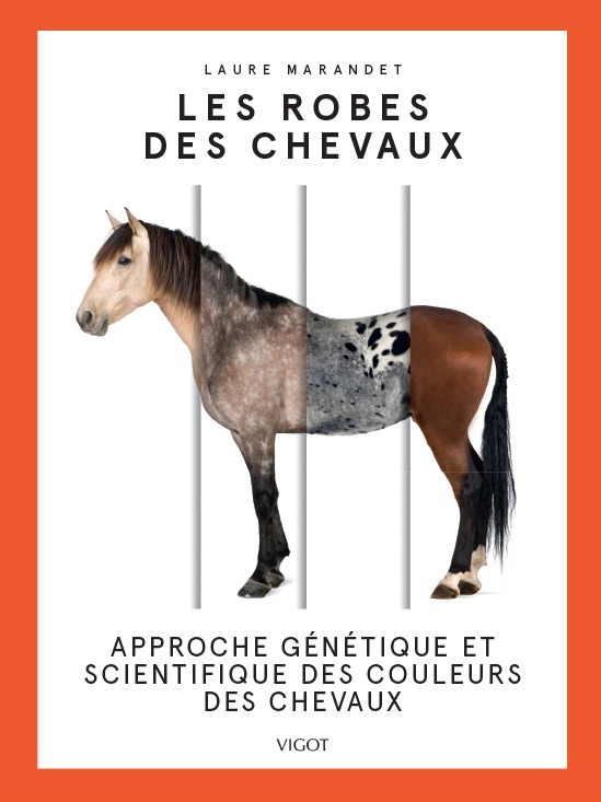 Les robes des chevaux
