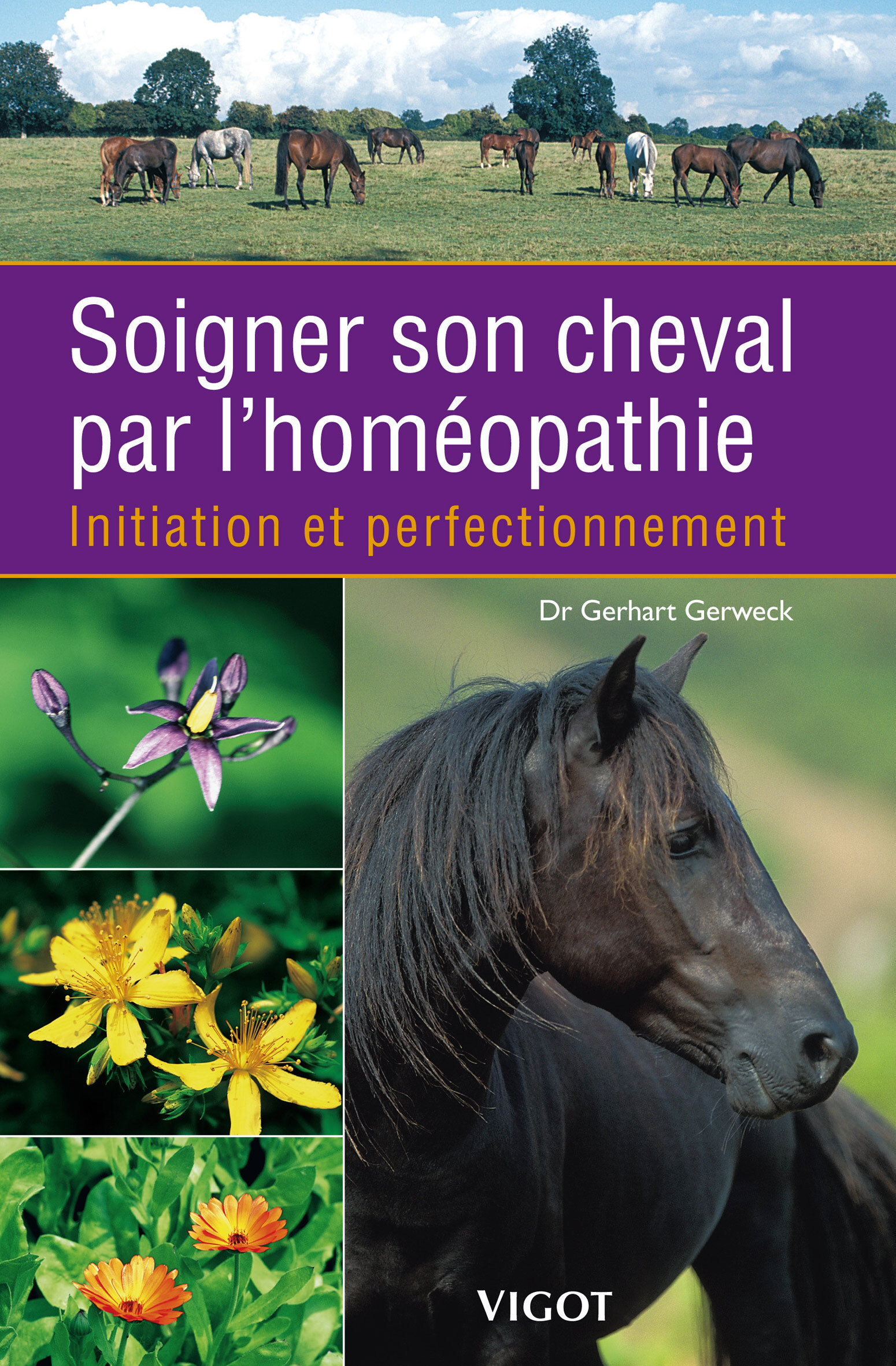 Soigner son cheval par l'homéopathie