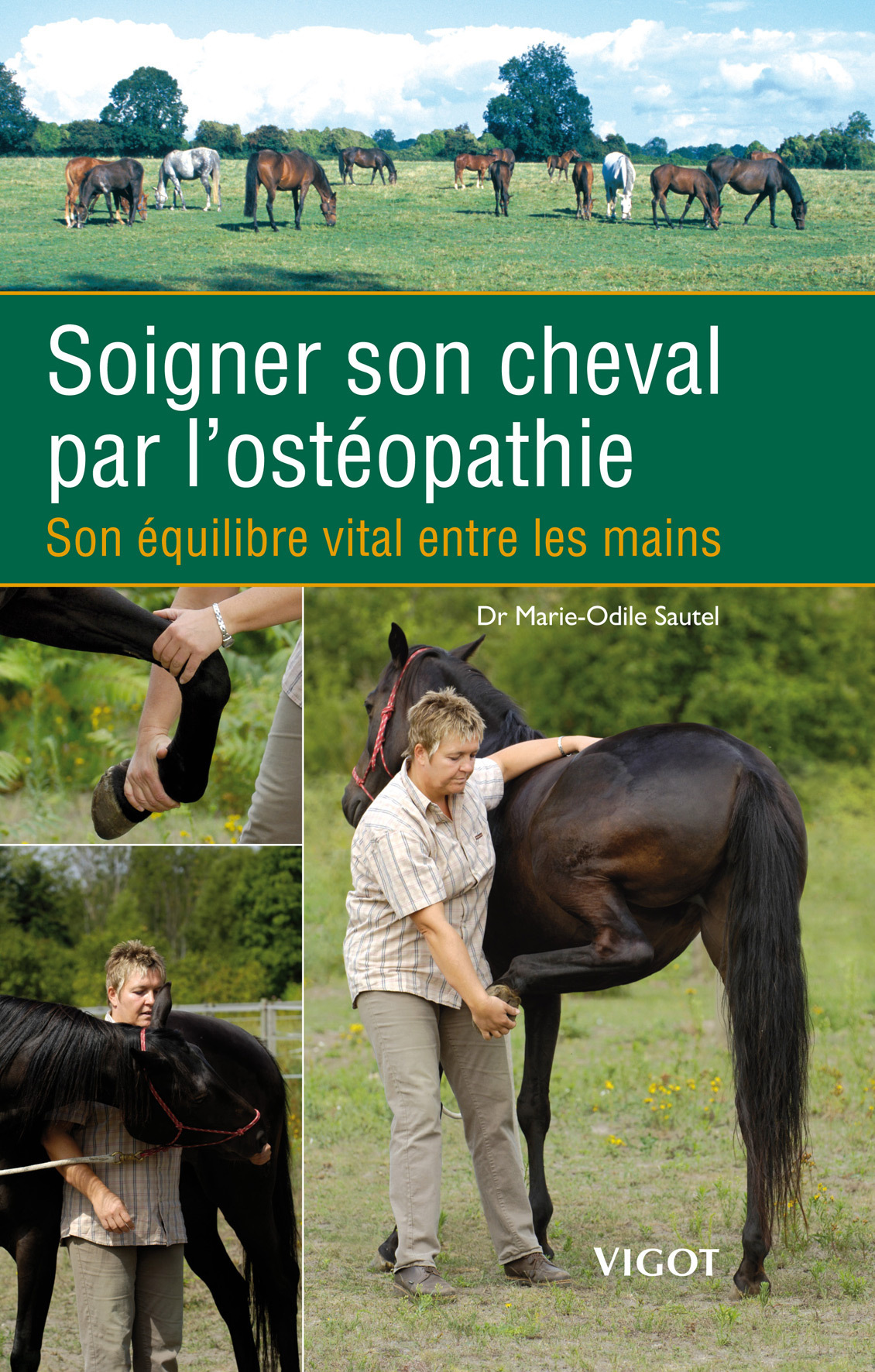 Soigner son cheval par l'ostéopathie