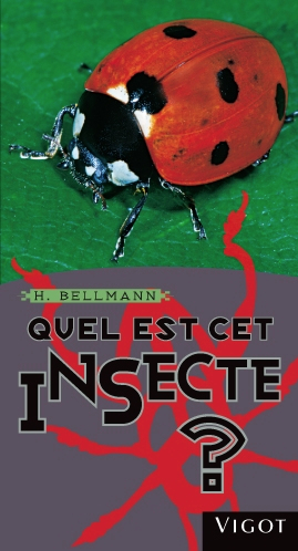 Quel est cet insecte ?