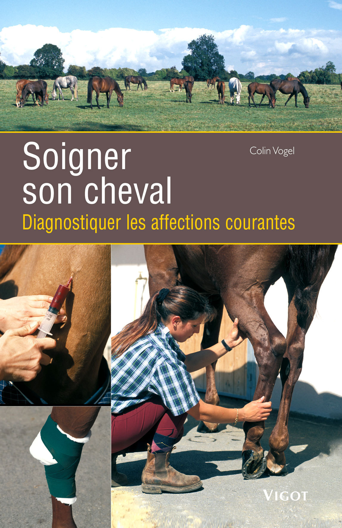 Soigner son cheval