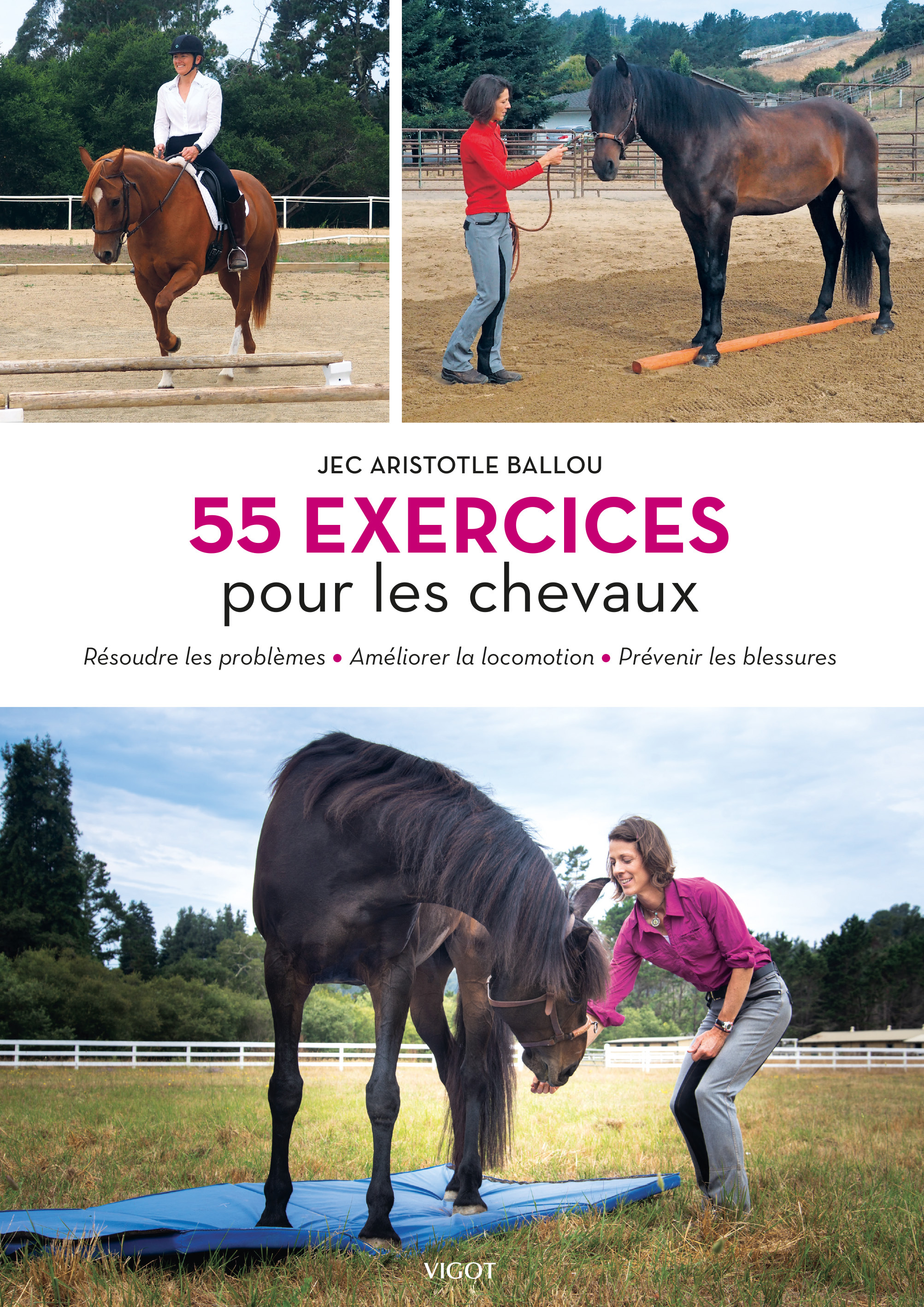 55 exercices pour les chevaux