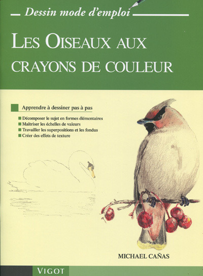 Les oiseaux aux crayons de couleur