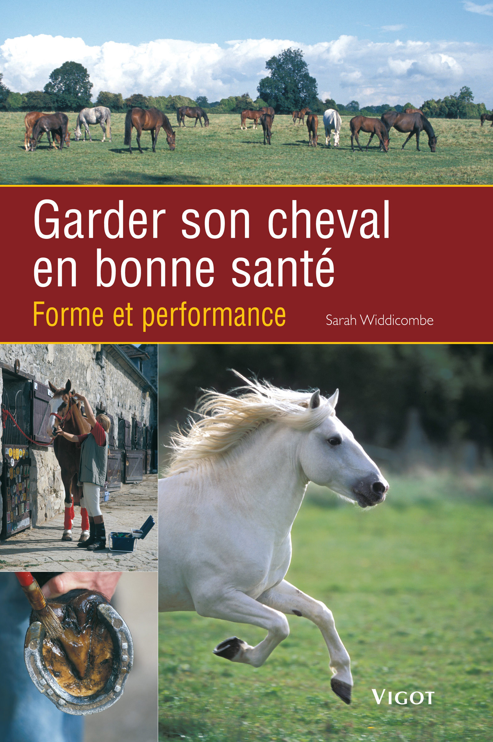 Garder son cheval en bonne santé