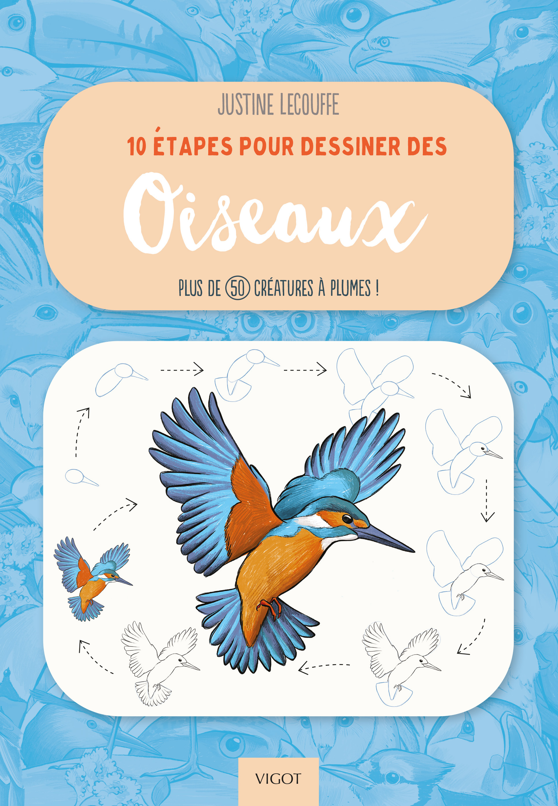 10 étapes pour dessiner des oiseaux
