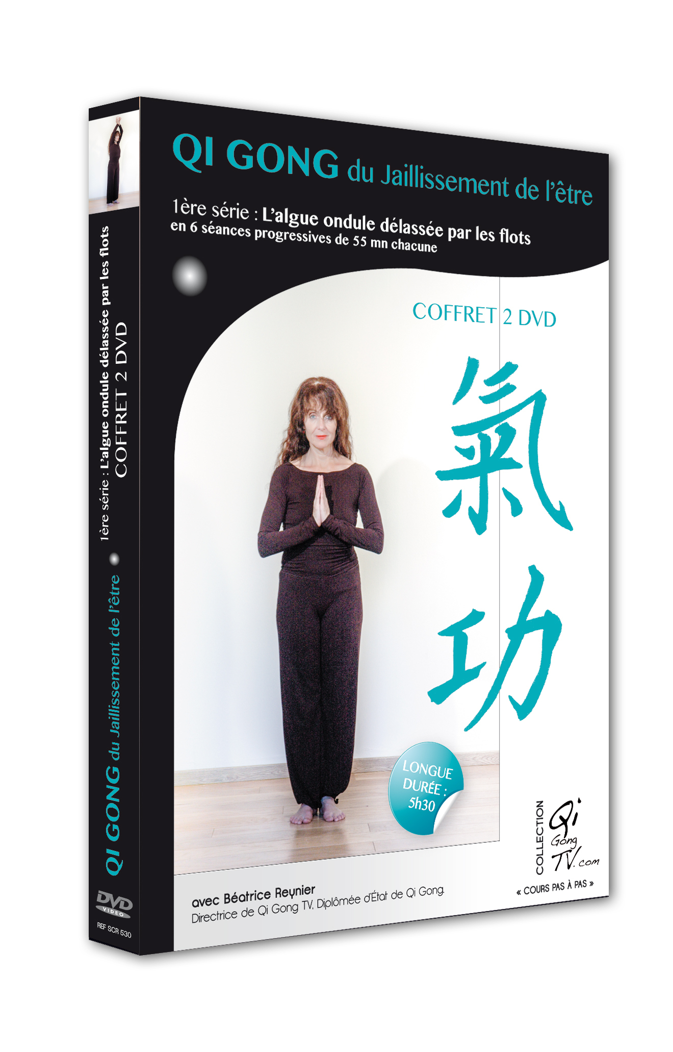 COFFRET QI GONG LE JAILLISEMENT DE L'ETRE - 2 DVD