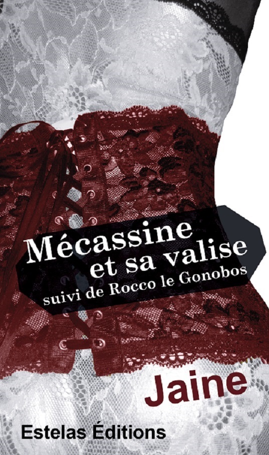 Mécassine et sa valise