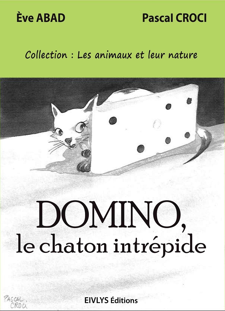 Domino, le chaton intrépide