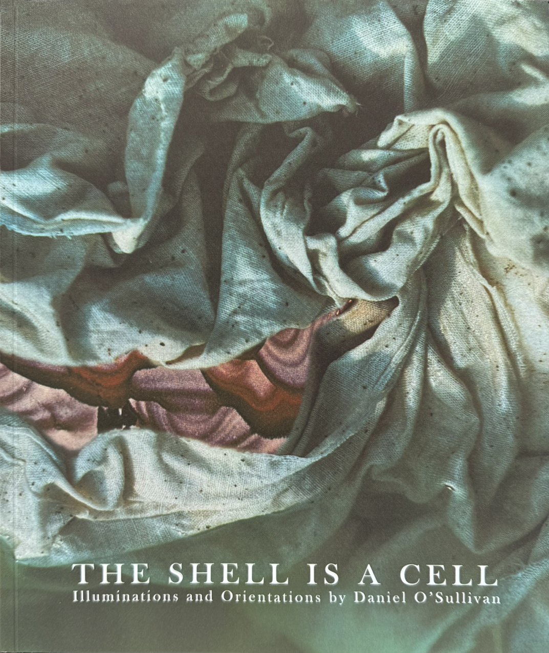 The Shell is A Cell