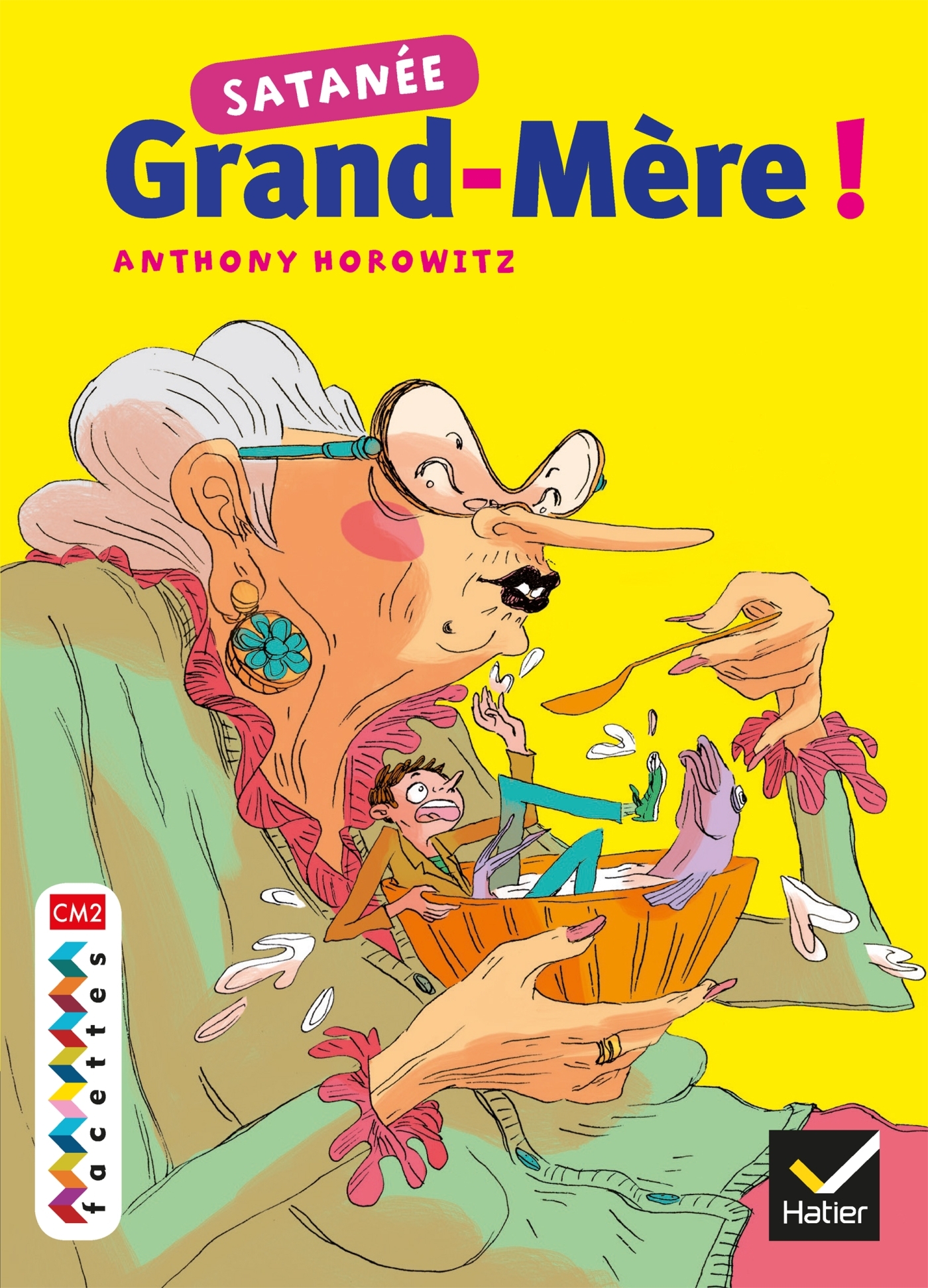 Facettes Bibilothèque CM2, Satanée grand-mère - Roman
