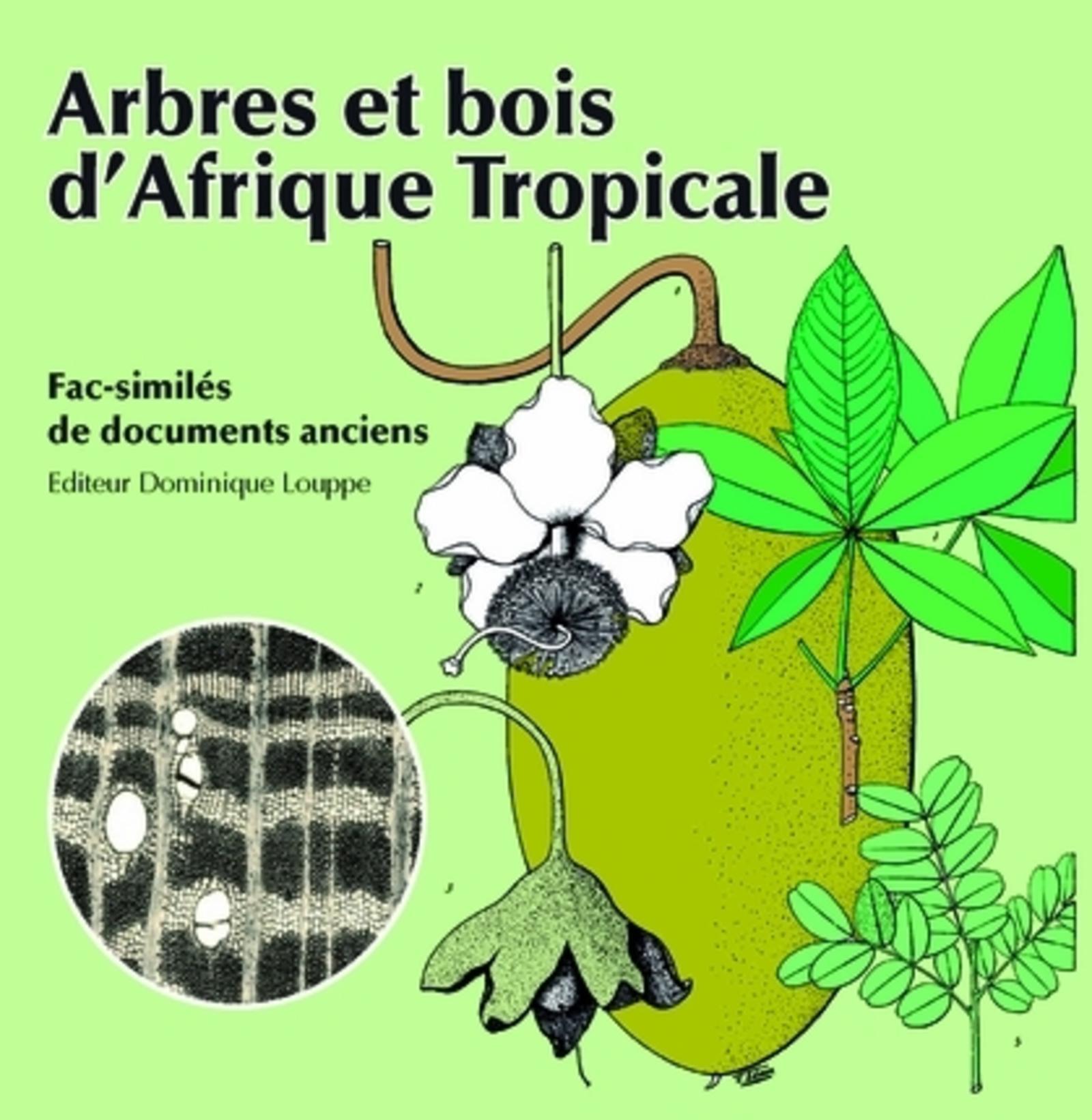 ARBRES ET BOIS D'AFRIQUE TROPICALE - FAC-SIMILES DE DOCUMENTS ANCIENS