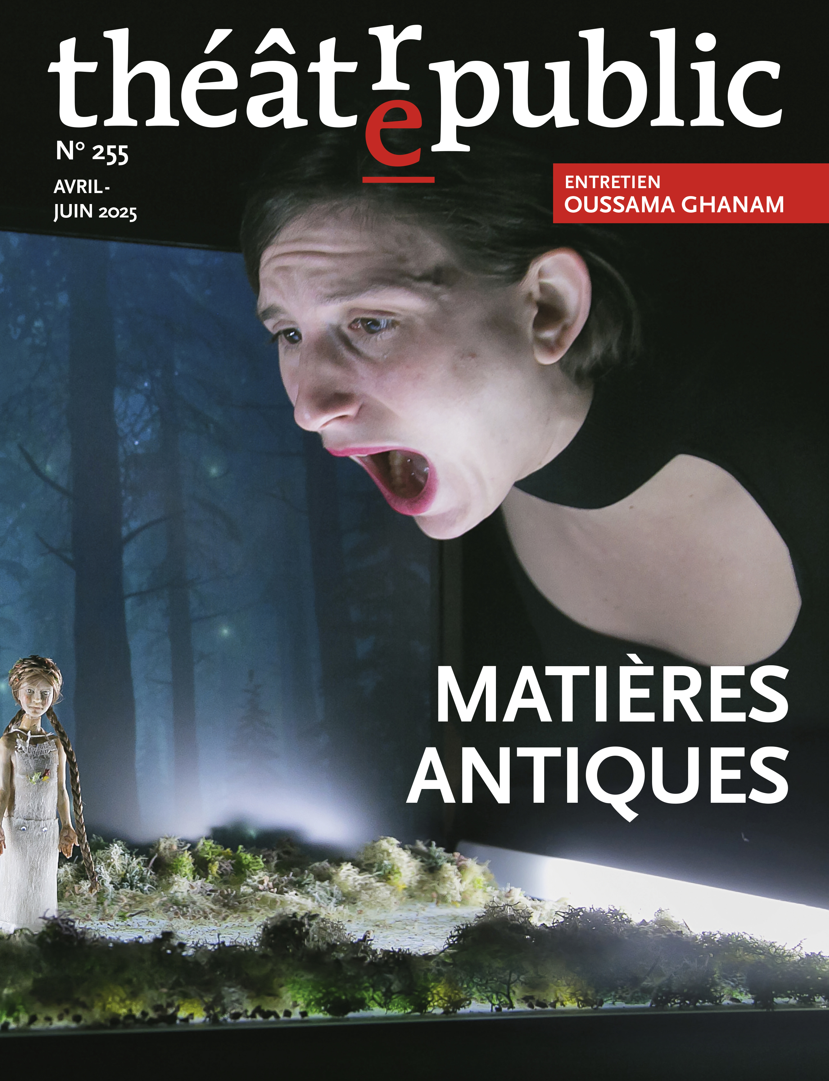 Théâtre public n 255