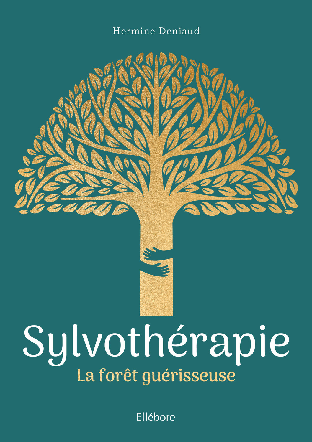 Sylvothérapie - La forêt guérisseuse