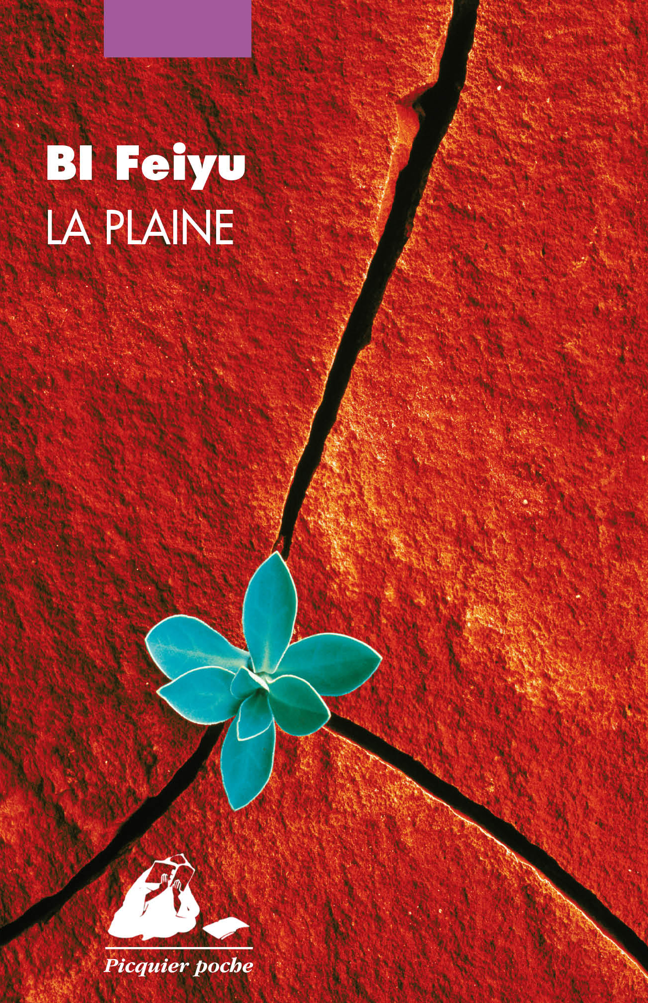 LA PLAINE