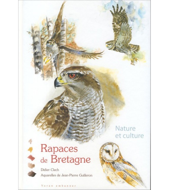 Rapaces de Bretagne