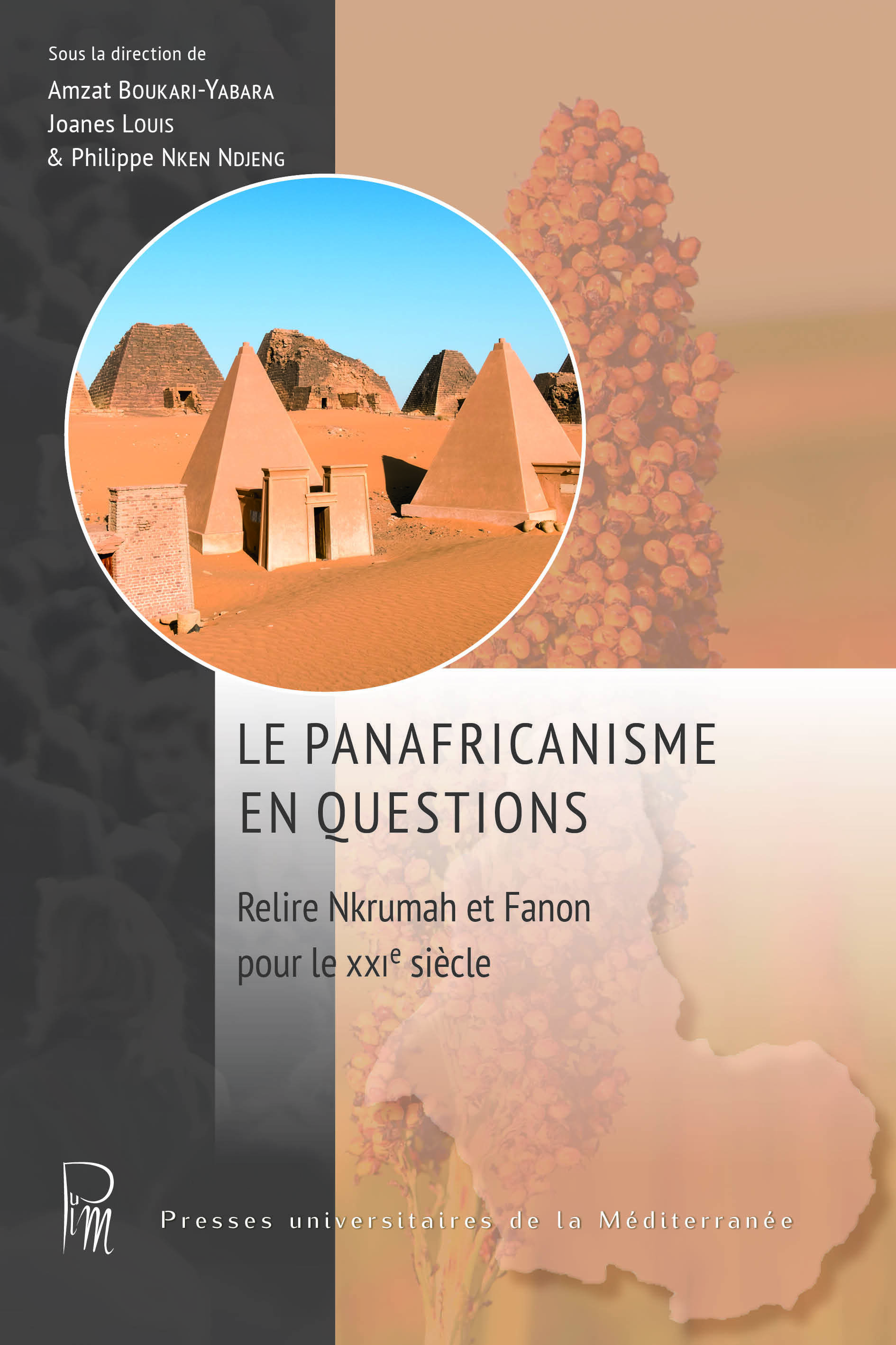 Le Panafricanisme en questions