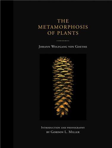 The Metamorphosis of Plants