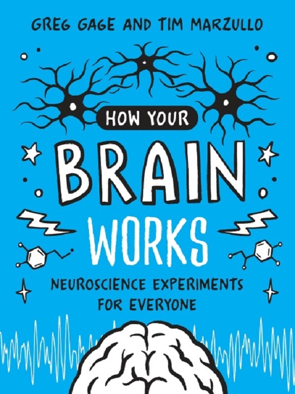 How Your Brain Works