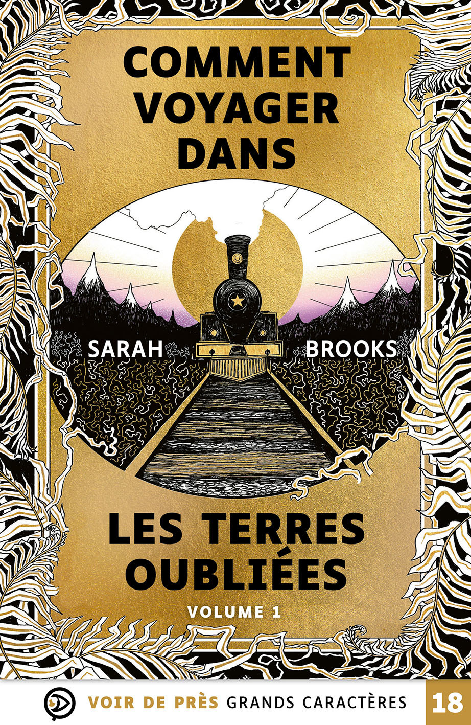 COMMENT VOYAGER DANS LES TERRES OUBLIEES (2 VOLUMES)