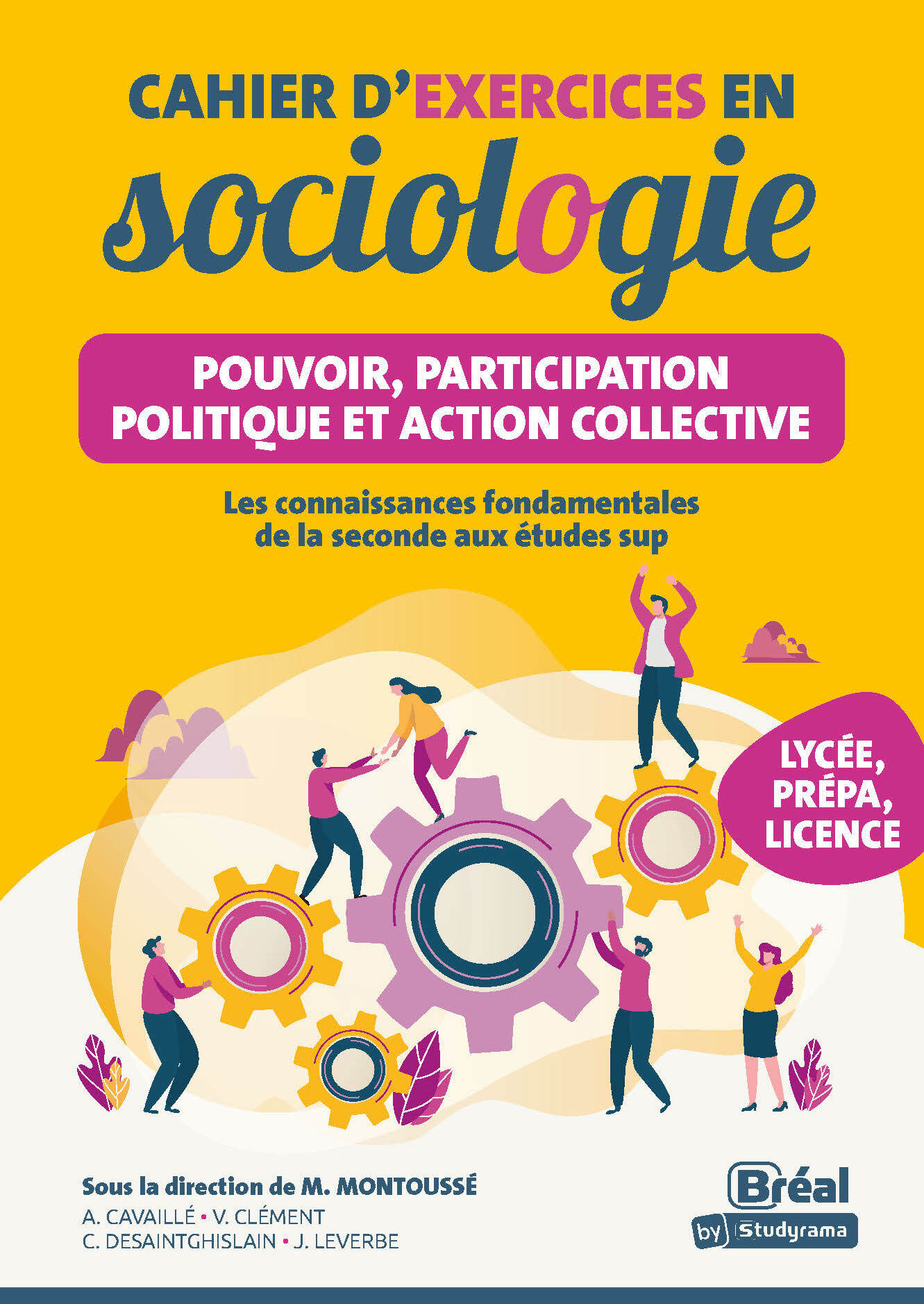 Cahier d'exercices en sociologie - Pouvoir, participation politique et action collective