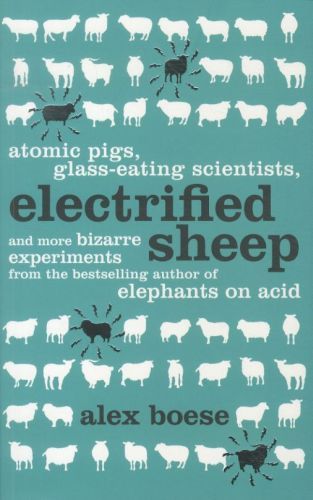 Electrified Sheep