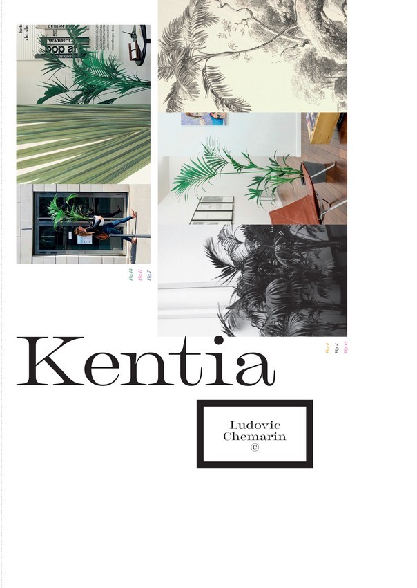 Kentia