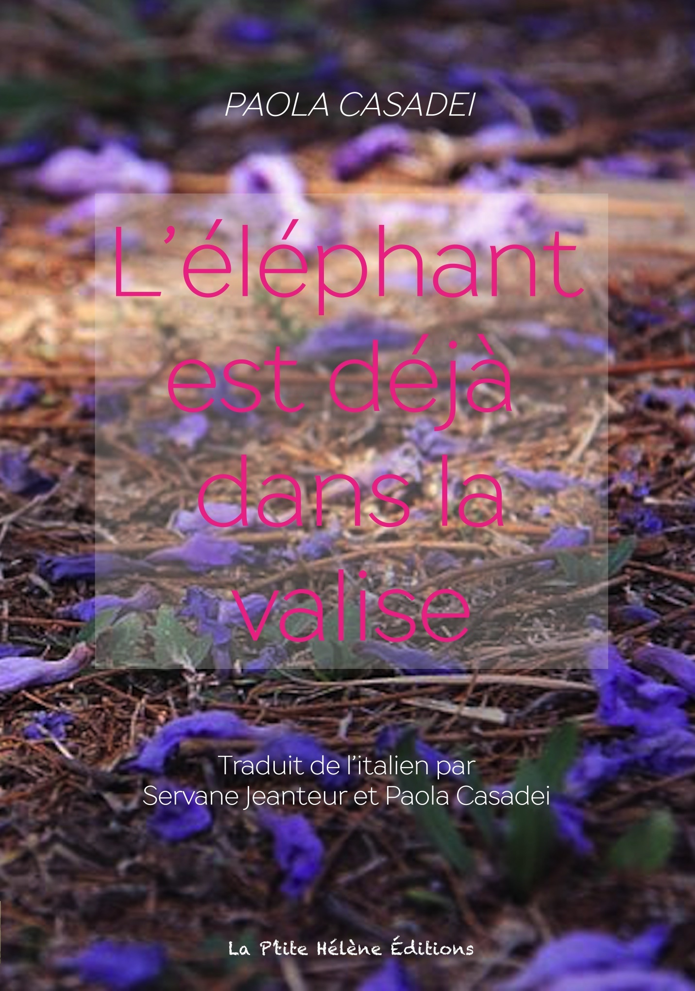 L'ÉLÉPHANT EST DÉJÀ DANS LA VALISE