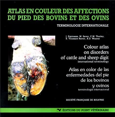 Atlas en couleur des affections du pied des bovins et des ovins terminologie internationale