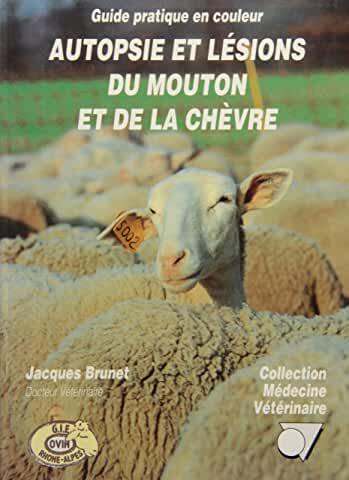 Autopsie et lésions du mouton et de la chèvre guide pratique en couleur