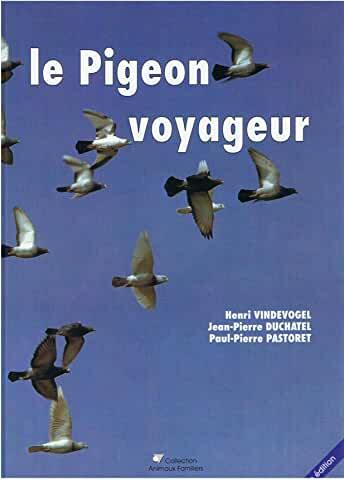 Le pigeon voyageur