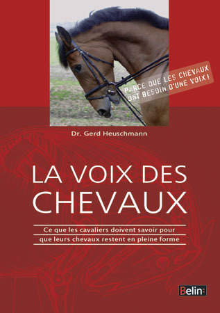 dvd la voix des chevaux