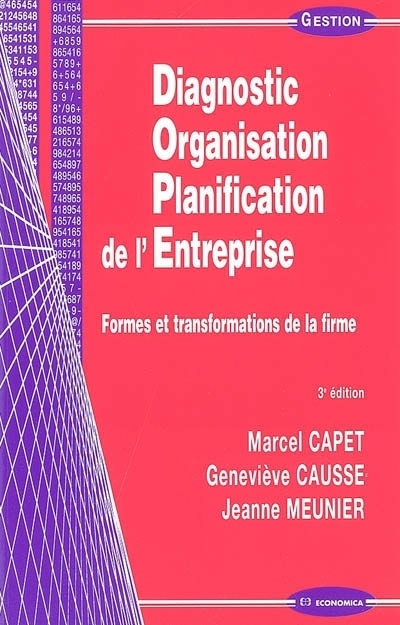 DIAGNOSTIC, ORGANISATION, PLANIFICATION DE L'ENTREPRISE