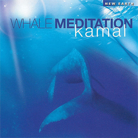Whale Meditation