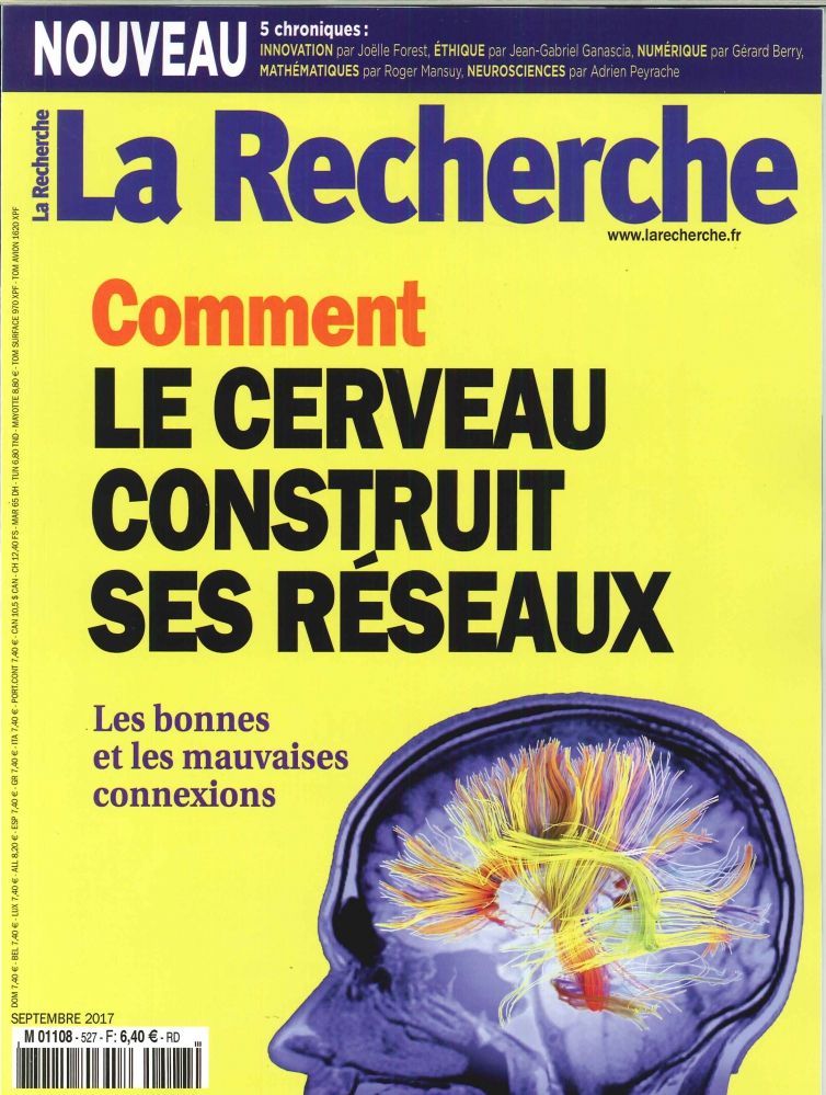 La Recherche N°527 Comment Le Cerveau Construit Ses Reseaux  Septembre 2017