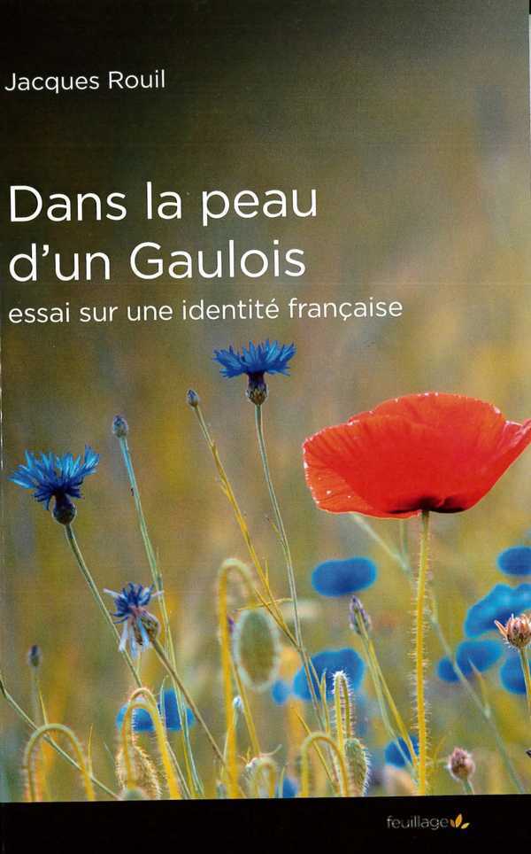 Dans la peau d'un Gaulois - essai sur une identité française