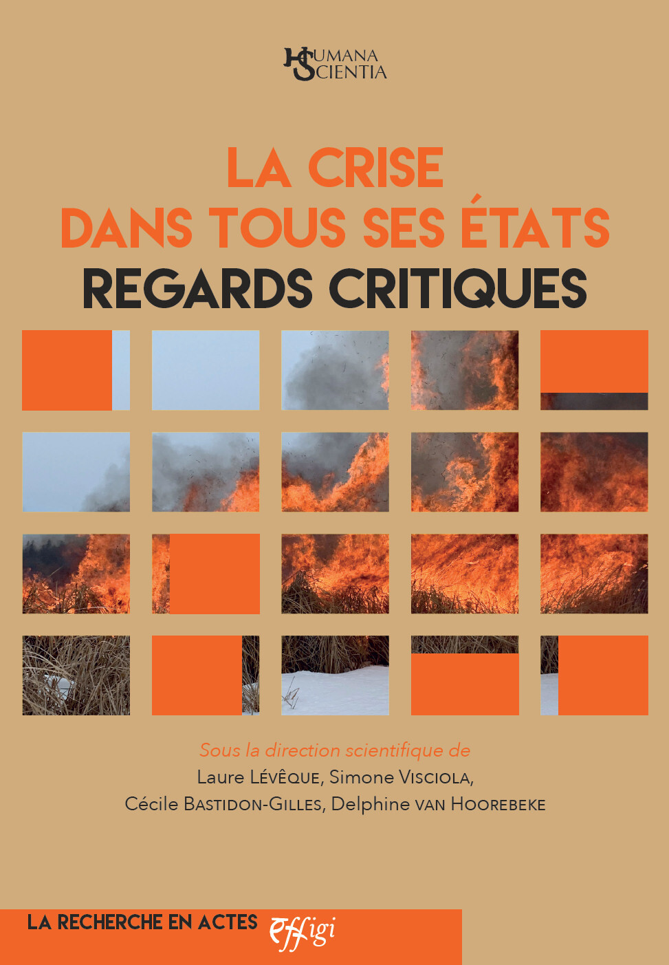 LA CRISE DANS TOUS SES ETATS : REGARDS CRITIQUES