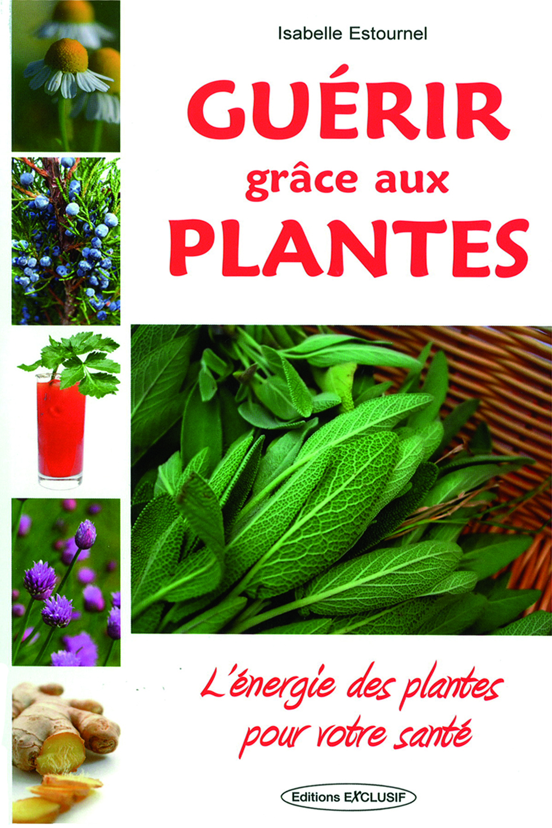 Guérir grâce aux plantes - L'énergie des plantes pour votre santé