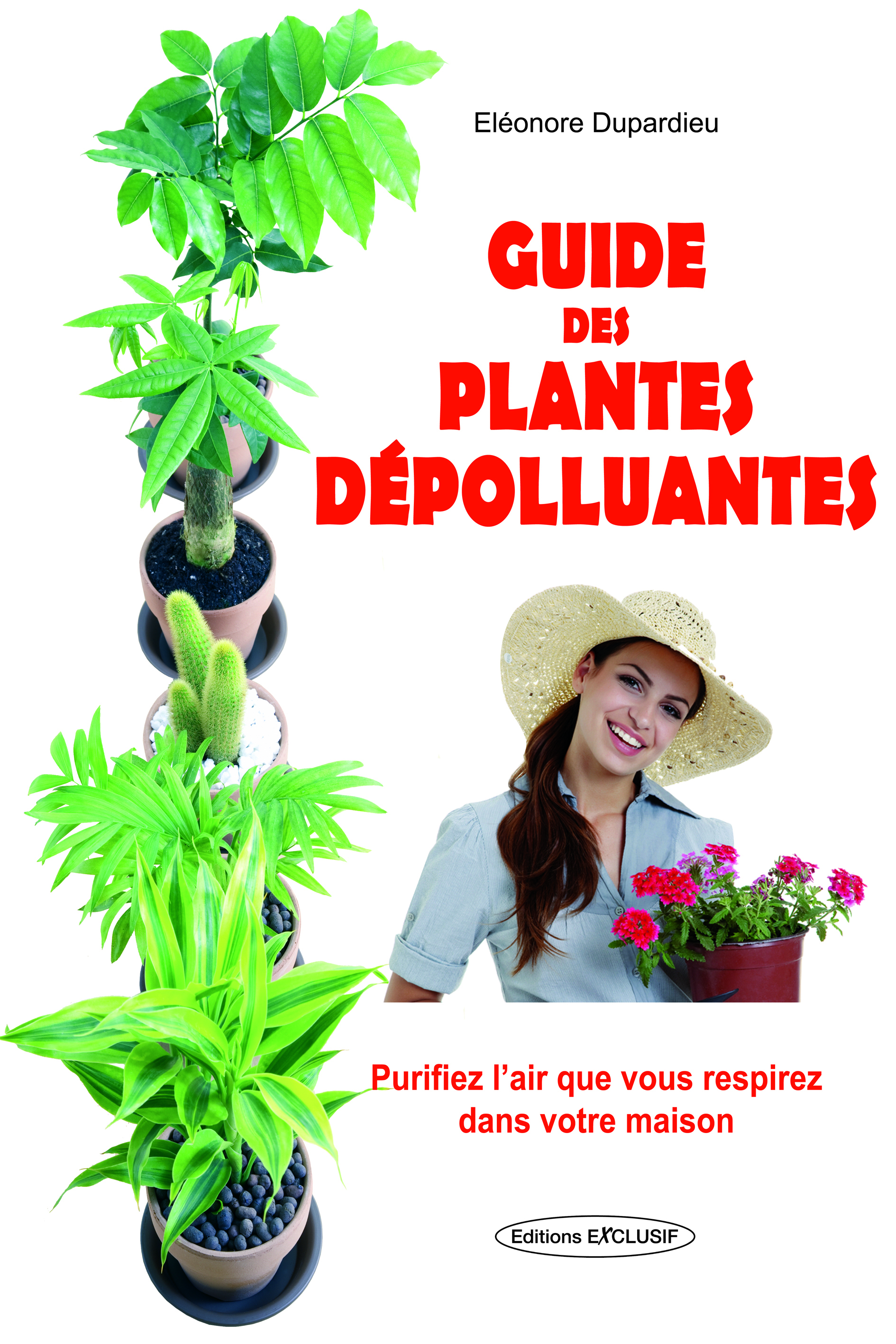 Guide des plantes dépolluantes - Purifiez l'air que vous respirez dans votre maison