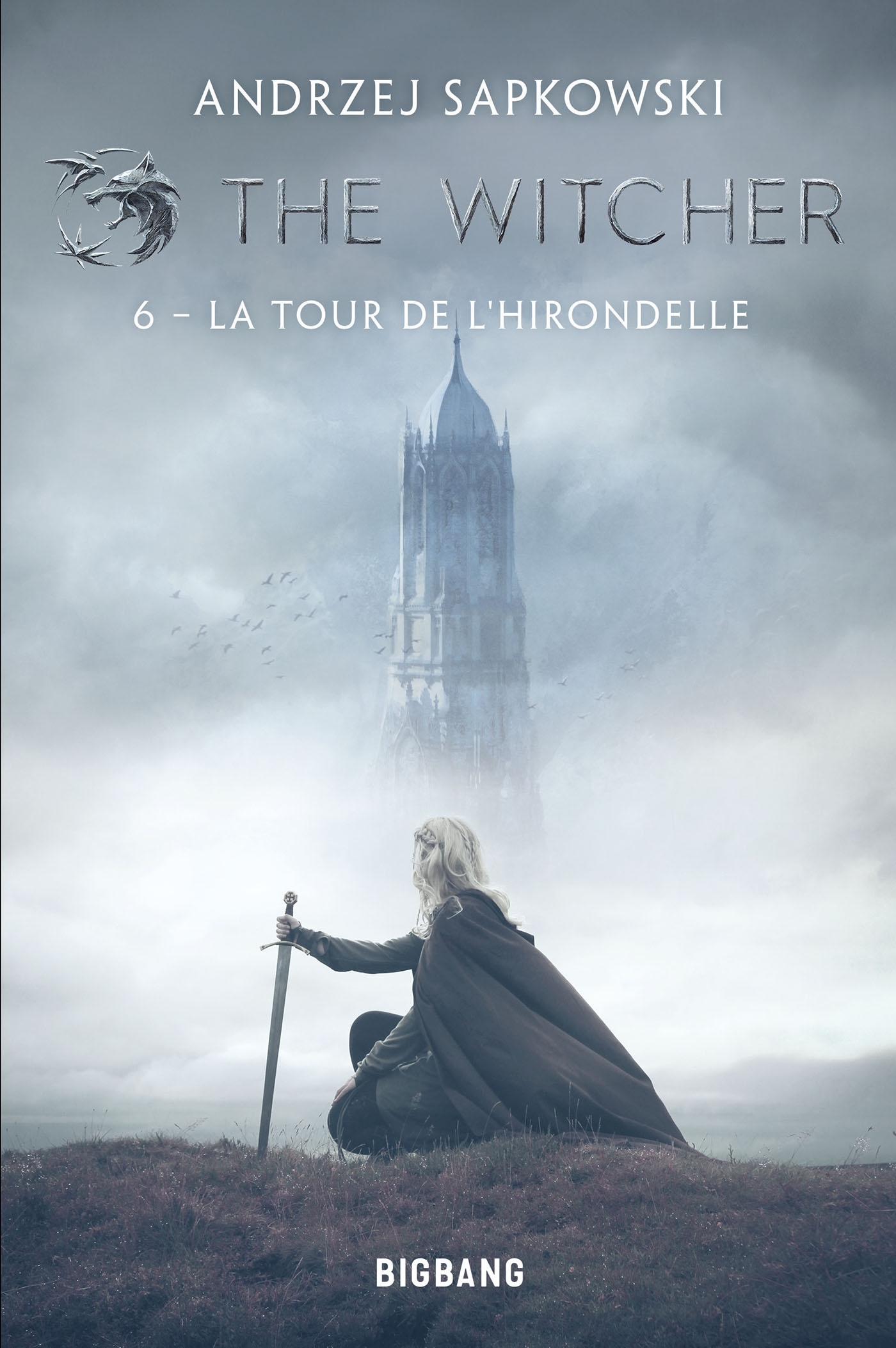 The Witcher (Sorceleur), T6 : La Tour de l'Hirondelle