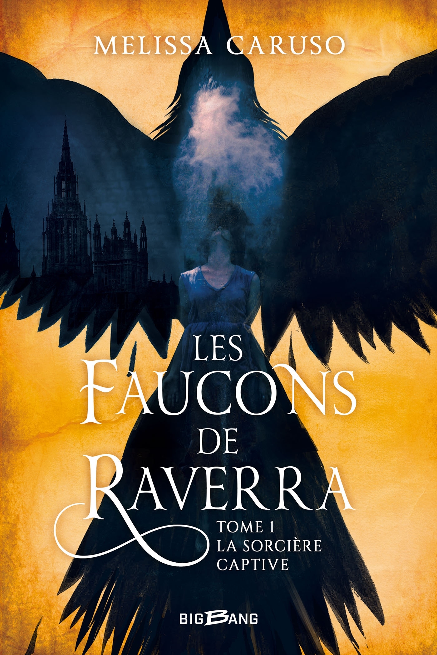 Les Faucons de Raverra, T1 : La Sorcière captive