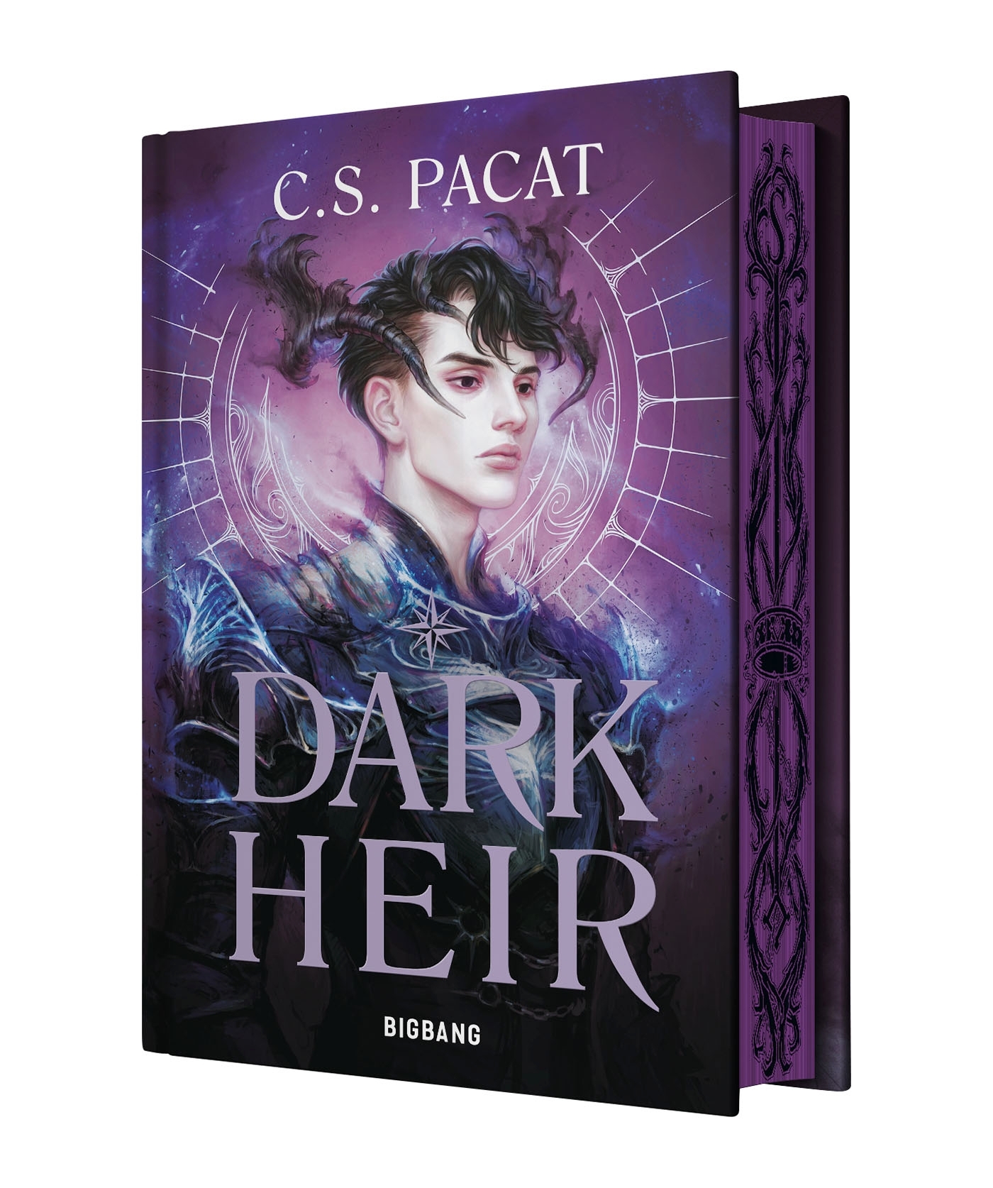 Dark Rise, T2 : Dark Heir (édition reliée)